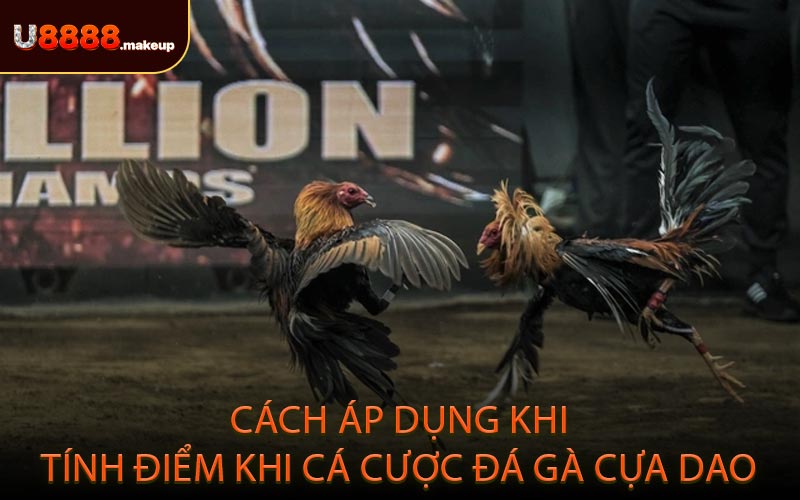 Cách áp dụng khi tính điểm khi cá cược đá gà cựa dao